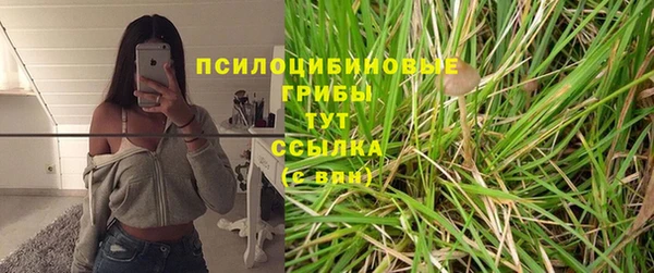 мет Горняк