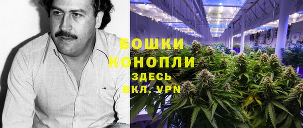 Альфа ПВП Горно-Алтайск