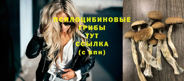мет Горняк