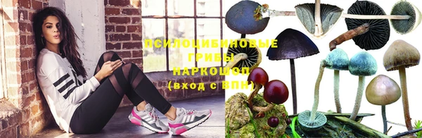 Альфа ПВП Горно-Алтайск