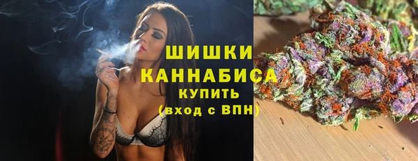 Альфа ПВП Горно-Алтайск